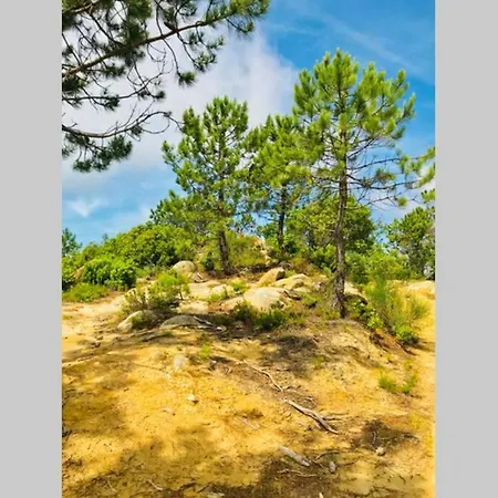 Διαμέρισμα Casa Della Bella Vita. Sea View Appartement. *